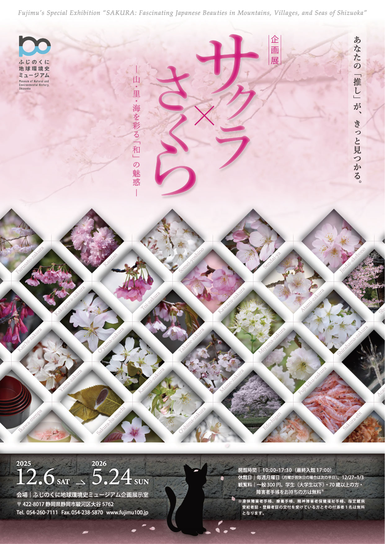 写真ファイル名